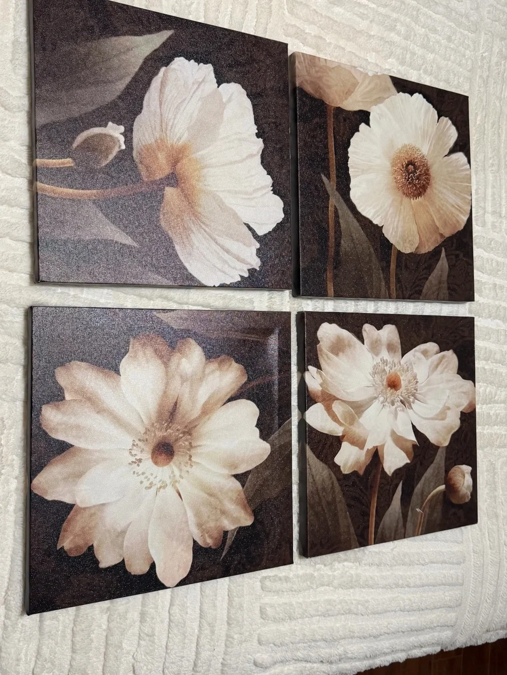 Neutral Floral Canvas Wall Art Set of 4 - Cream and Brown